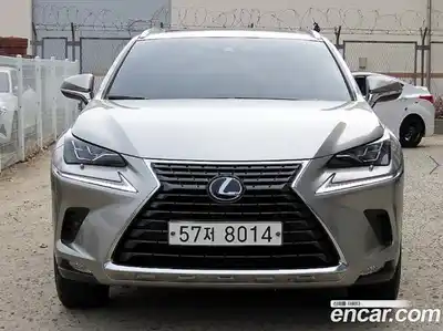 Lexus NX, 2019