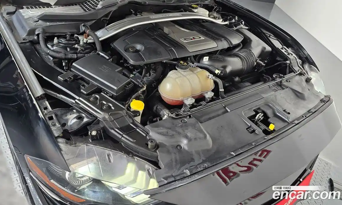 Ford Mustang 2019 5.0 Автомат в Москве № 233261, фото 4