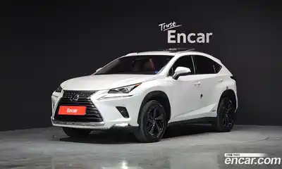 Lexus NX, 2019