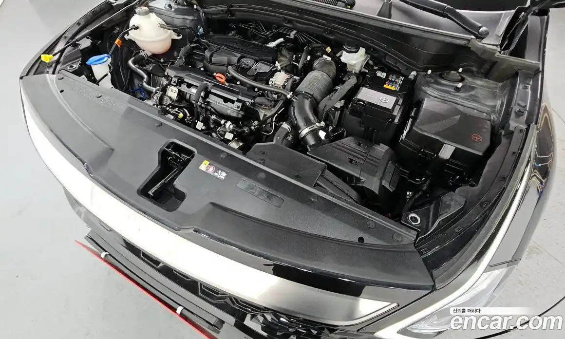 Kia Sportage 2024 1.6 Автомат в Москве № 52542, фото 1