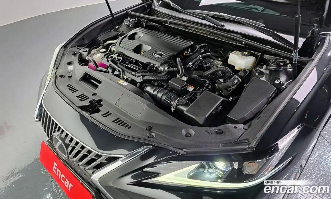 Lexus ES 2023 2.5 Автомат в Москве № 275447, фото 8