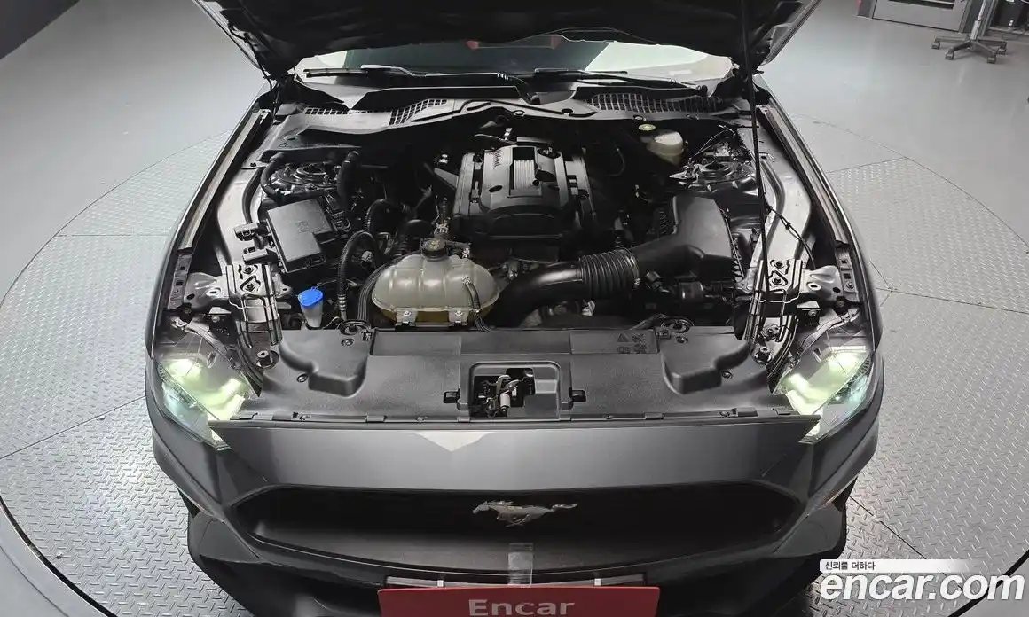 Ford Mustang 2023 2.3 Автомат в Москве № 318844, фото 6