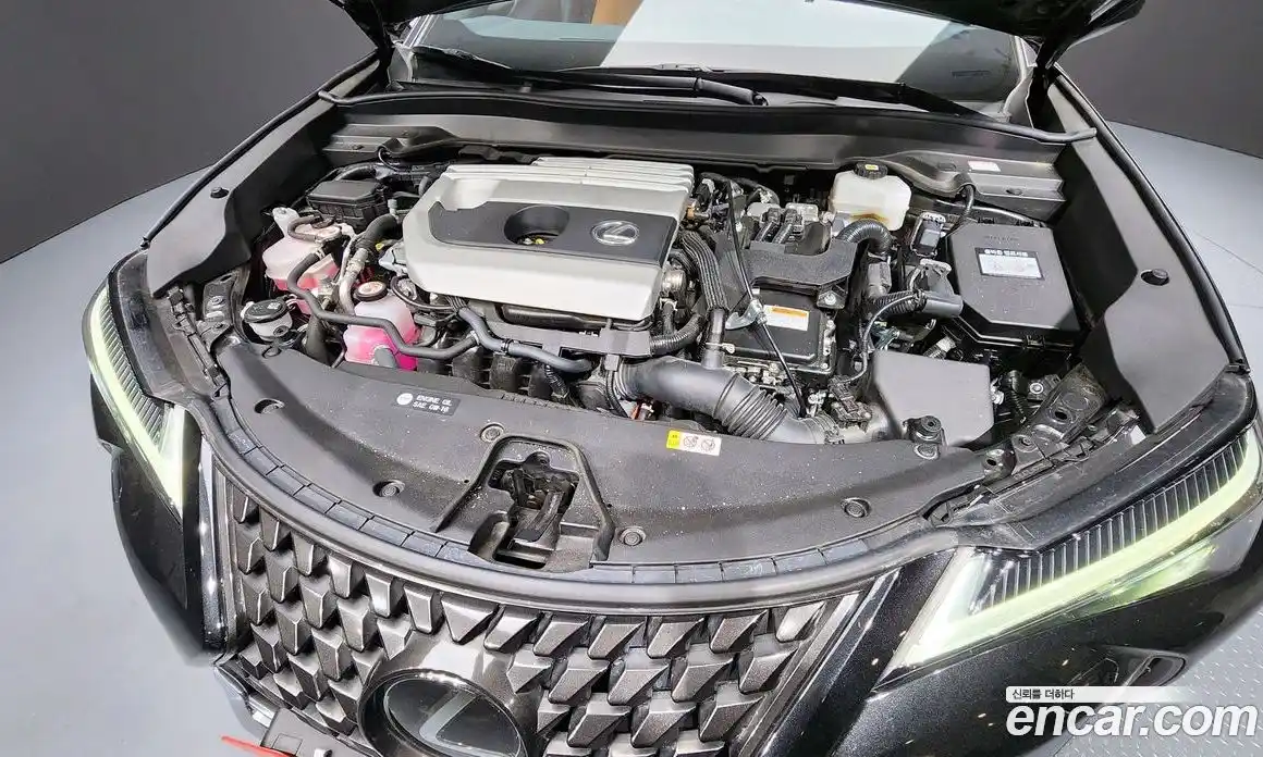 Lexus UX 2024 2.0 Автомат в Москве № 198892, фото 20