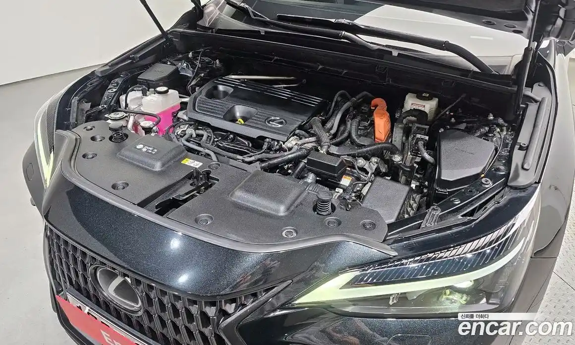 Lexus NX 2022 2.5 Автомат в Москве № 425748, фото 6