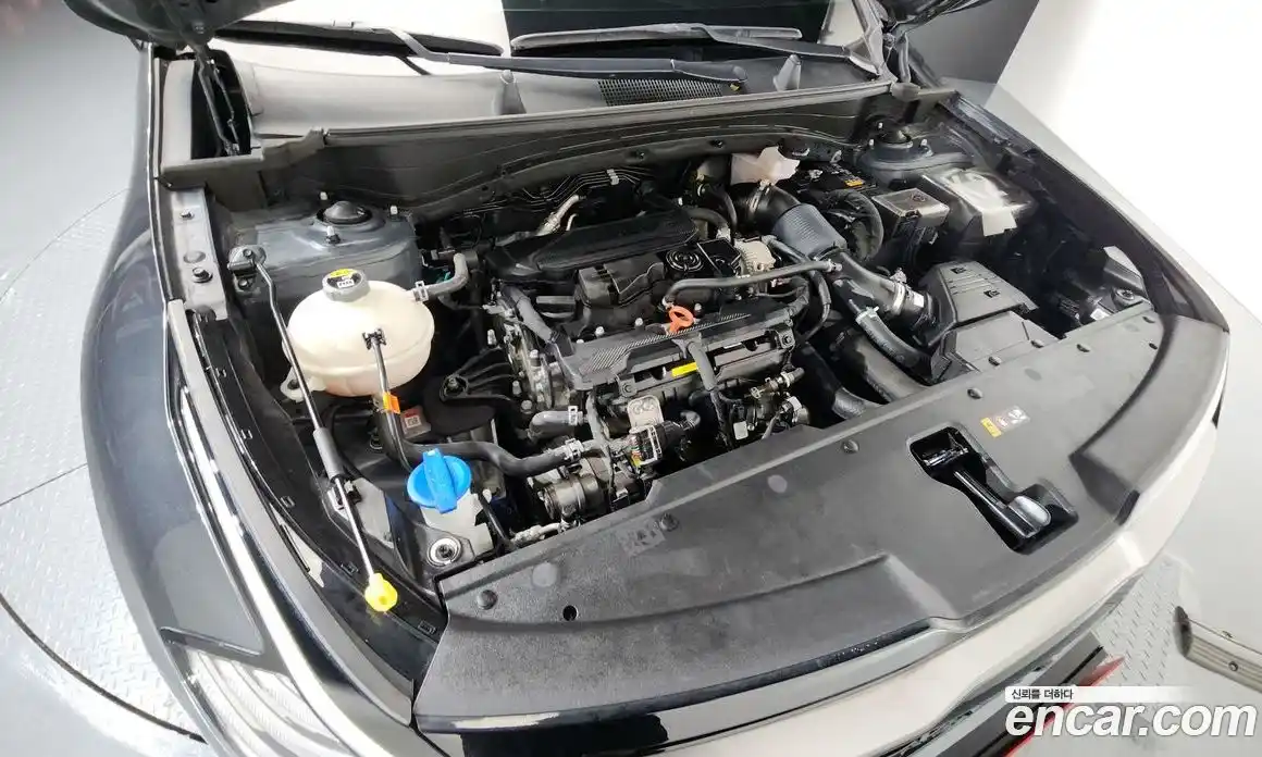 Kia Sportage 2023 1.6 Автомат в Москве № 121962, фото 3