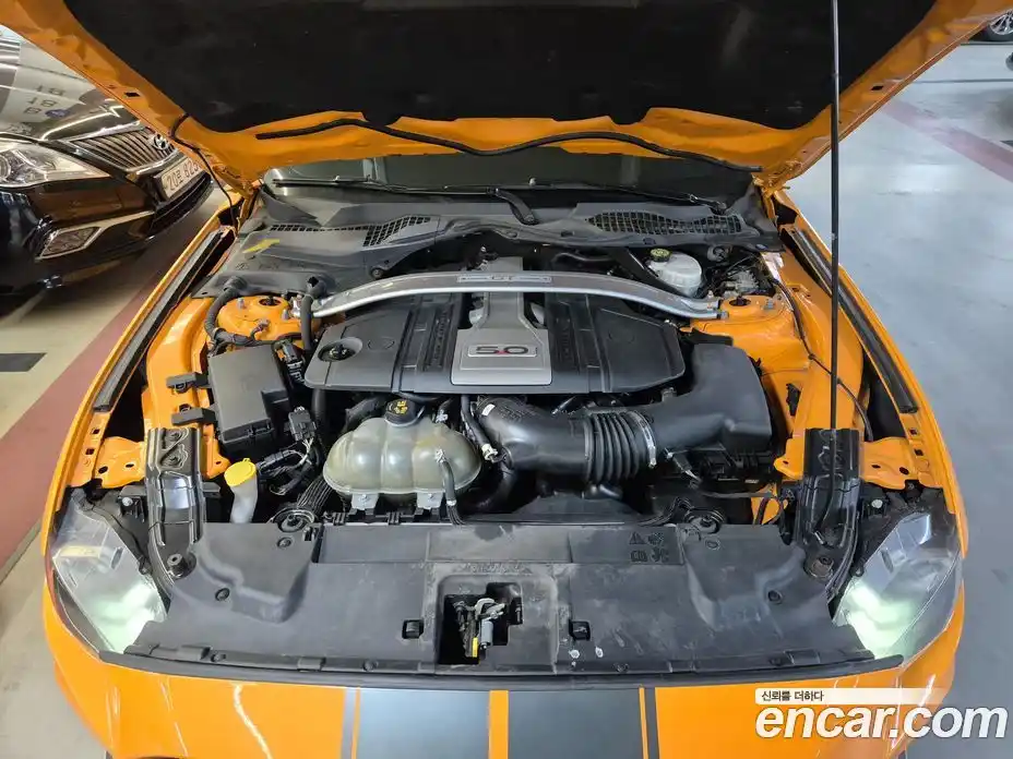 Ford Mustang 2019 5.0 Автомат в Москве № 259149, фото 20