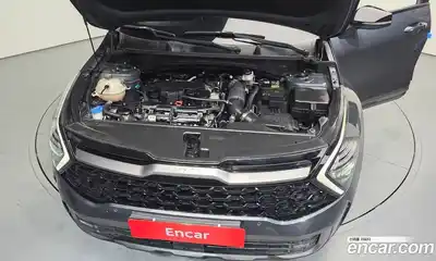 Kia Sportage 2022 1.6 Автомат в Москве № 96525, миниатюра 2