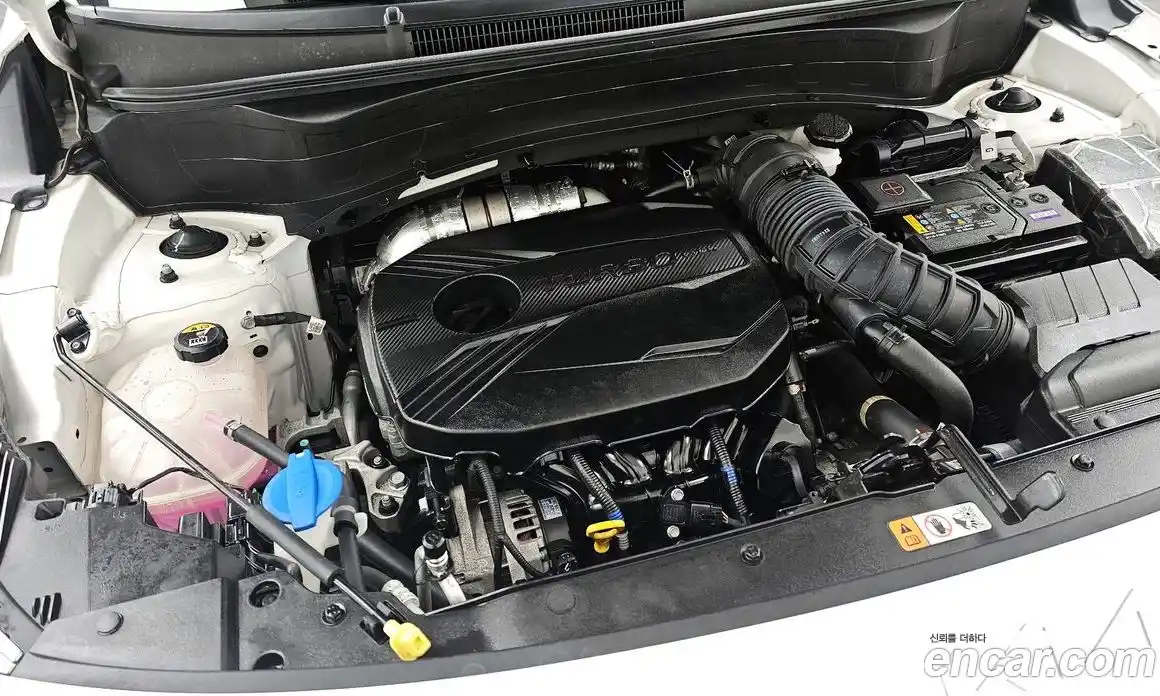 Kia Seltos 2023 1.6 Автомат в Москве № 133791, фото 1