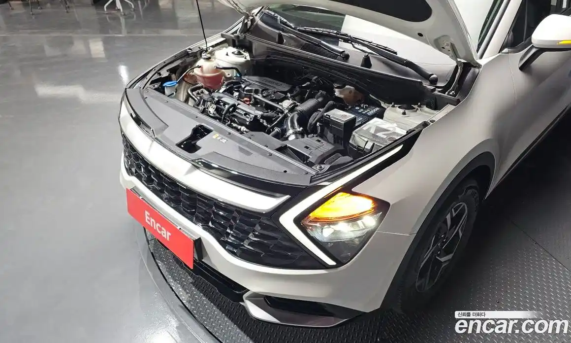 Kia Sportage 2023 1.6 Автомат в Москве № 14492, фото 17