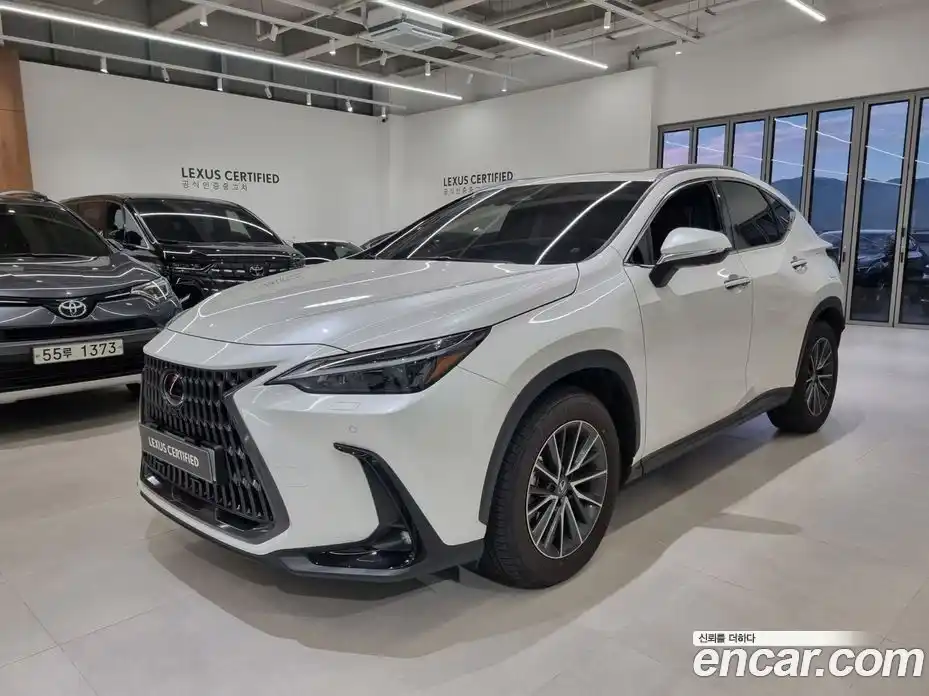 Lexus NX 2025 2.5 Автомат в Москве № 214732, фото 1