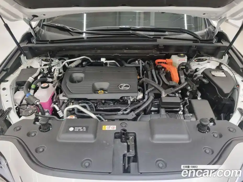 Lexus NX 2025 2.5 Автомат в Москве № 214732, фото 6