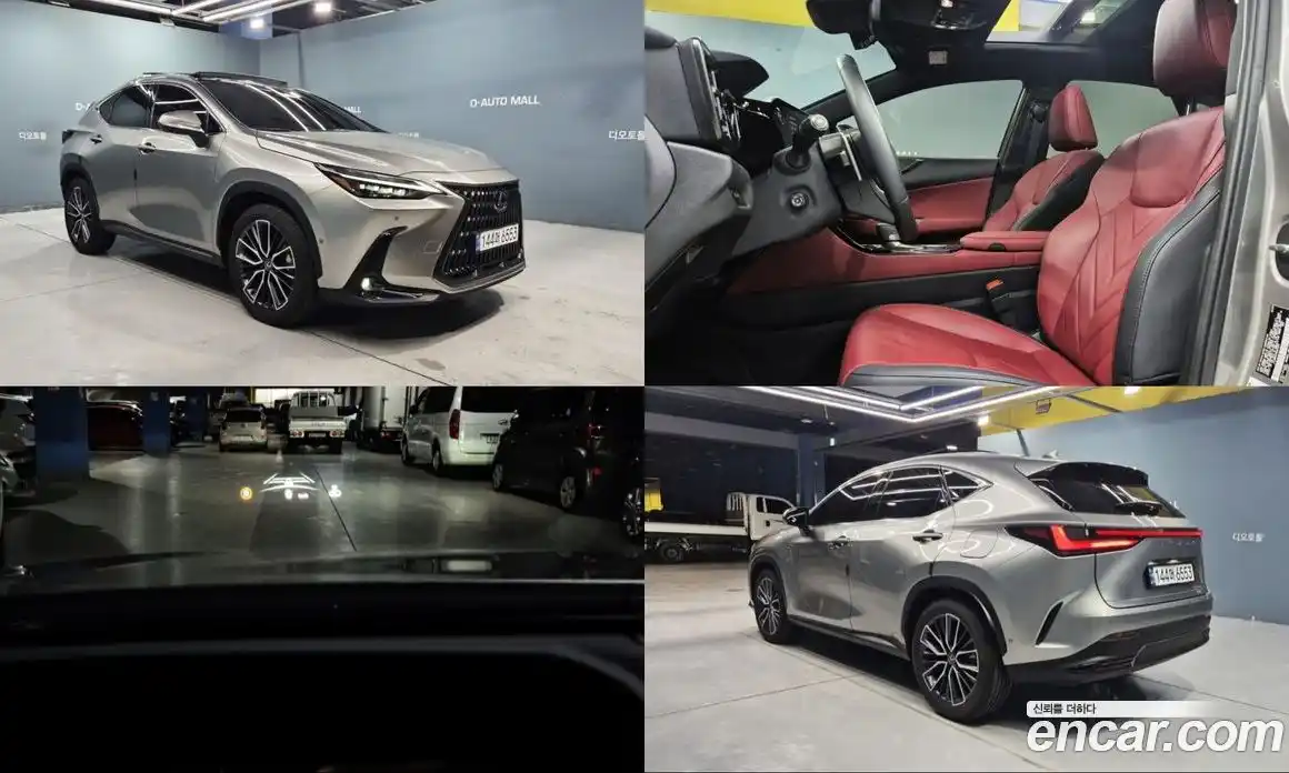 Lexus NX 2025 2.5 Автомат в Москве № 214745, фото 1