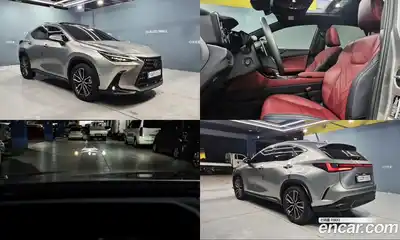Lexus NX, 2025