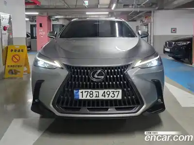 Lexus NX, 2025