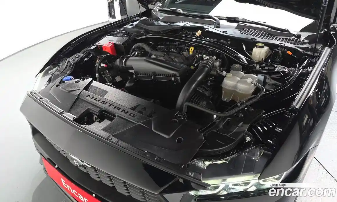 Ford Mustang 2024 2.3 Автомат в Москве № 233063, фото 5