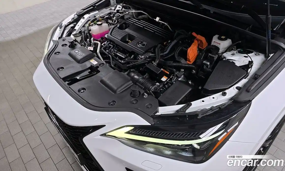 Lexus NX 2023 2.5 Автомат в Москве № 398296, фото 6