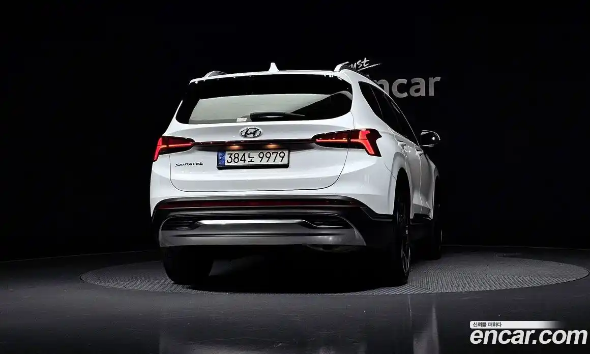 Hyundai Santa Fe 2023 2.5 Автомат в Москве № 112762, фото 16