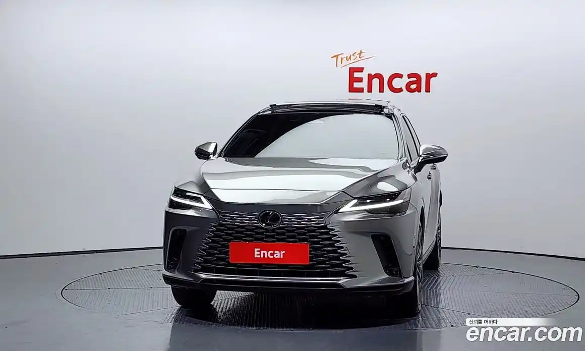 Lexus RX 2024 2.5 Автомат в Москве № 198740, фото 19