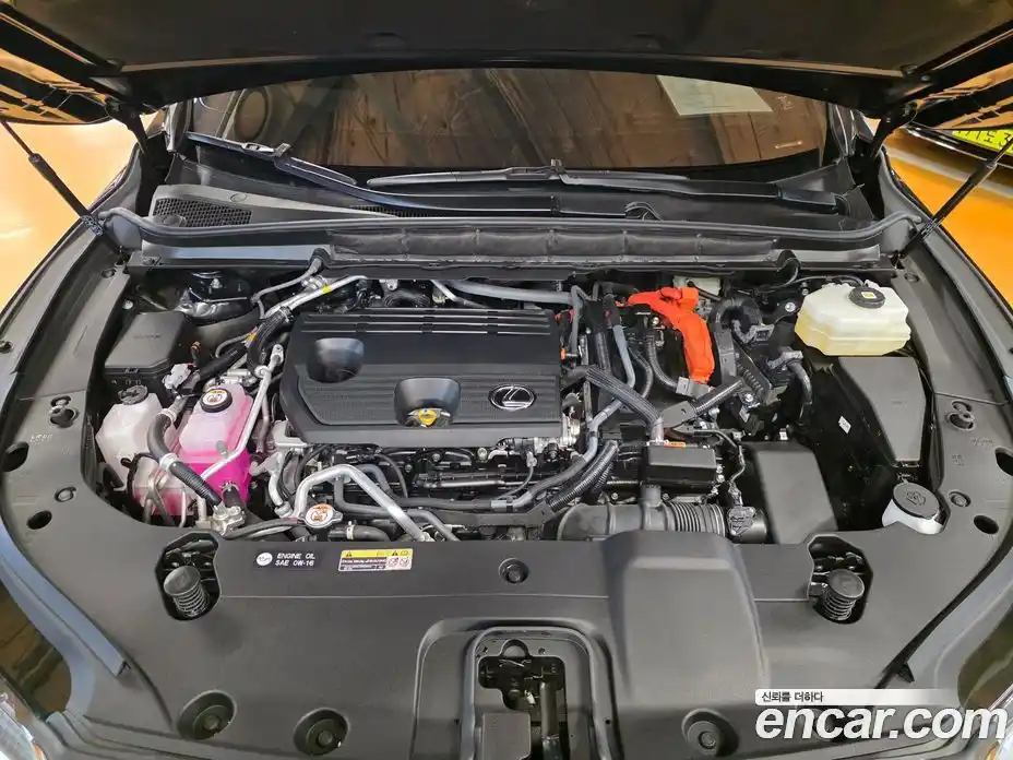 Lexus RX 2024 2.5 Вариатор в Москве № 214730, фото 6