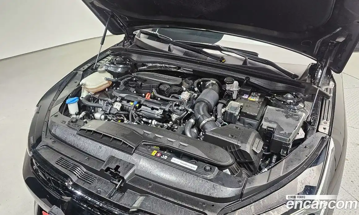 Kia K5 2024 1.6 Автомат в Москве № 120356, фото 1