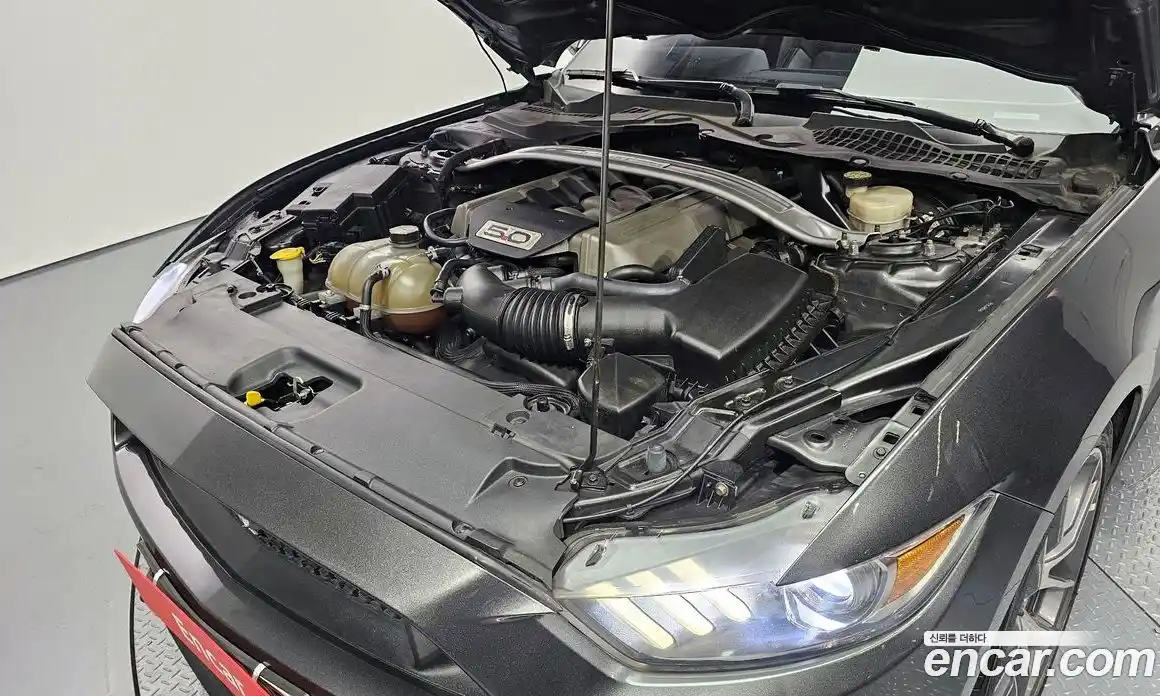 Ford Mustang 2017 5.0 Автомат в Москве № 273432, фото 11