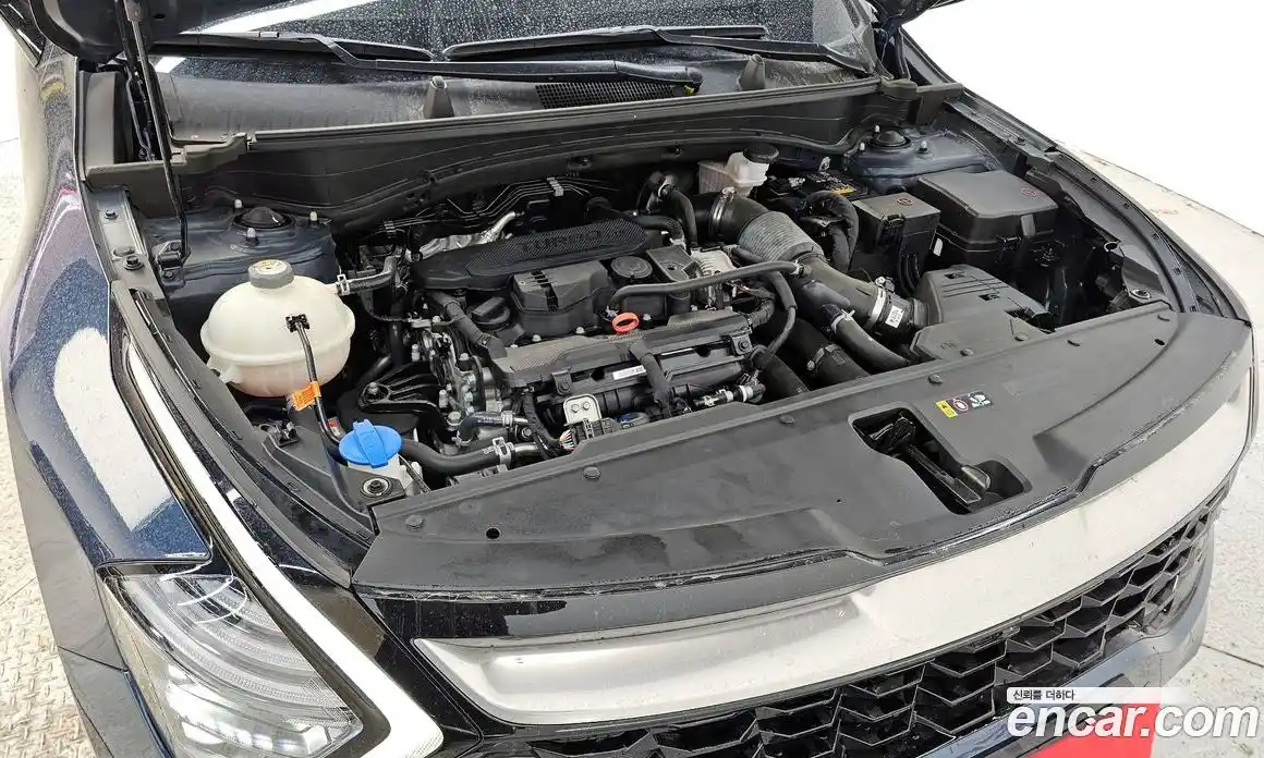 Kia Sportage 2022 1.6 Автомат в Москве № 50243, фото 3