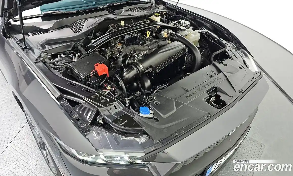 Ford Mustang 2024 2.3 Автомат в Москве № 233053, фото 6