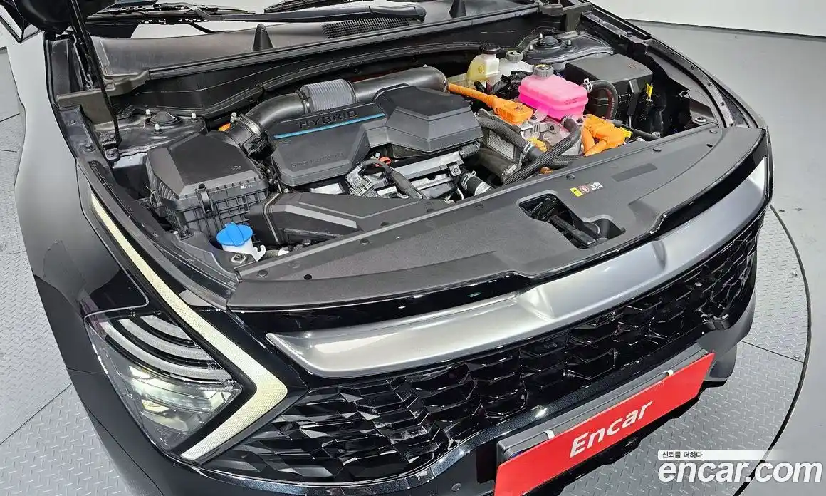 Kia Sportage 2023 1.6 Автомат в Москве № 51363, фото 14