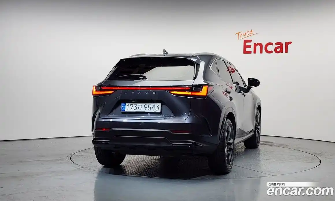 Lexus NX 2024 2.5 Автомат в Москве № 198825, фото 14