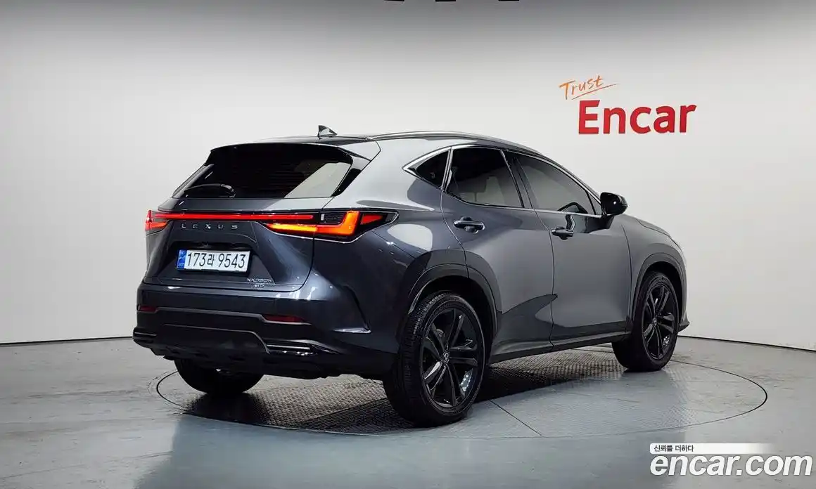 Lexus NX 2024 2.5 Автомат в Москве № 198825, фото 16