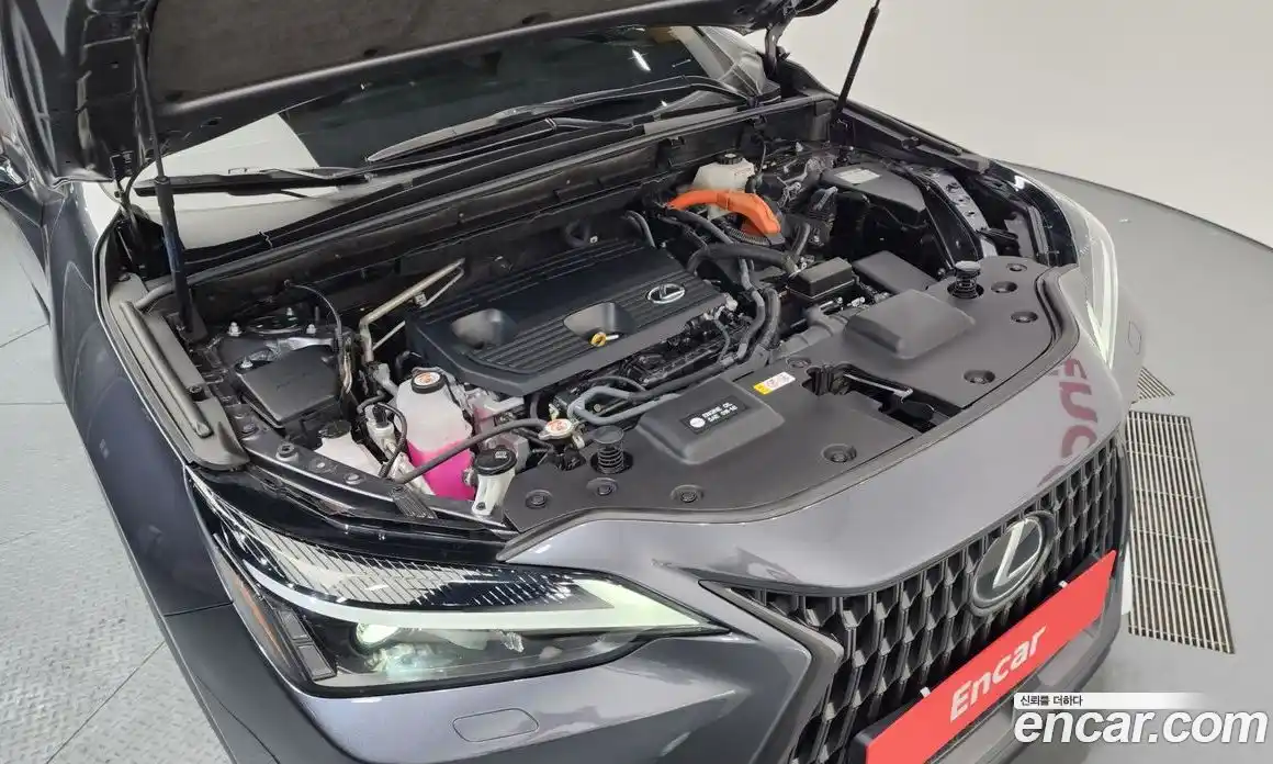 Lexus NX 2024 2.5 Автомат в Москве № 198825, фото 7