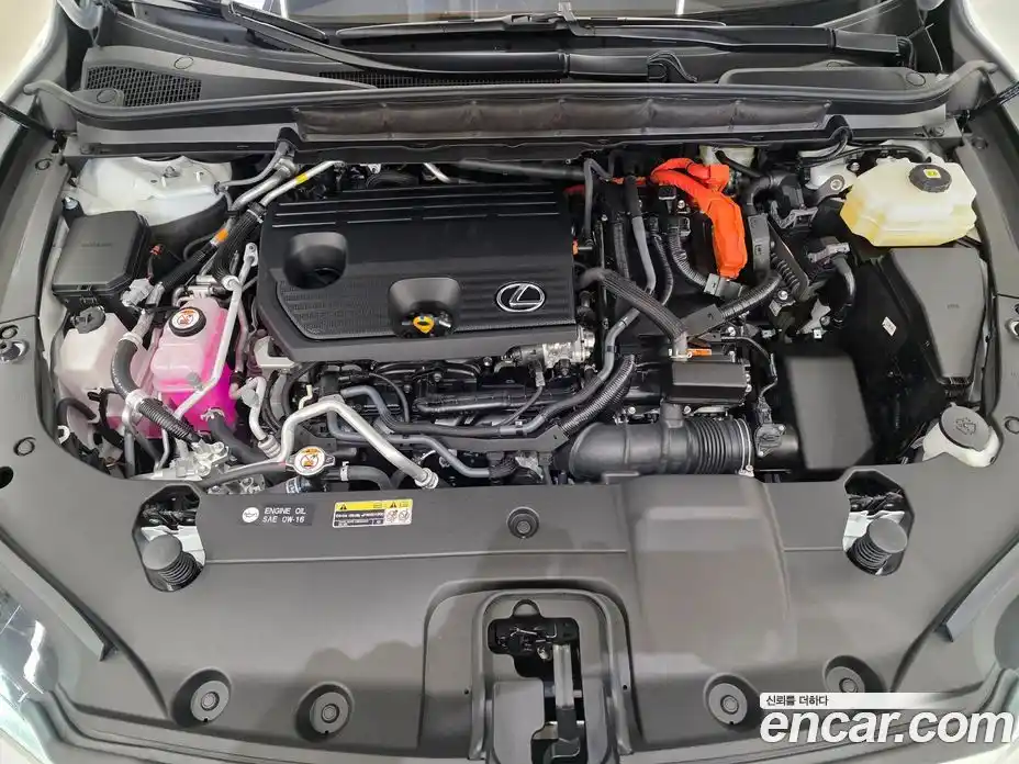 Lexus RX 2024 2.5 Вариатор в Москве № 300803, фото 6