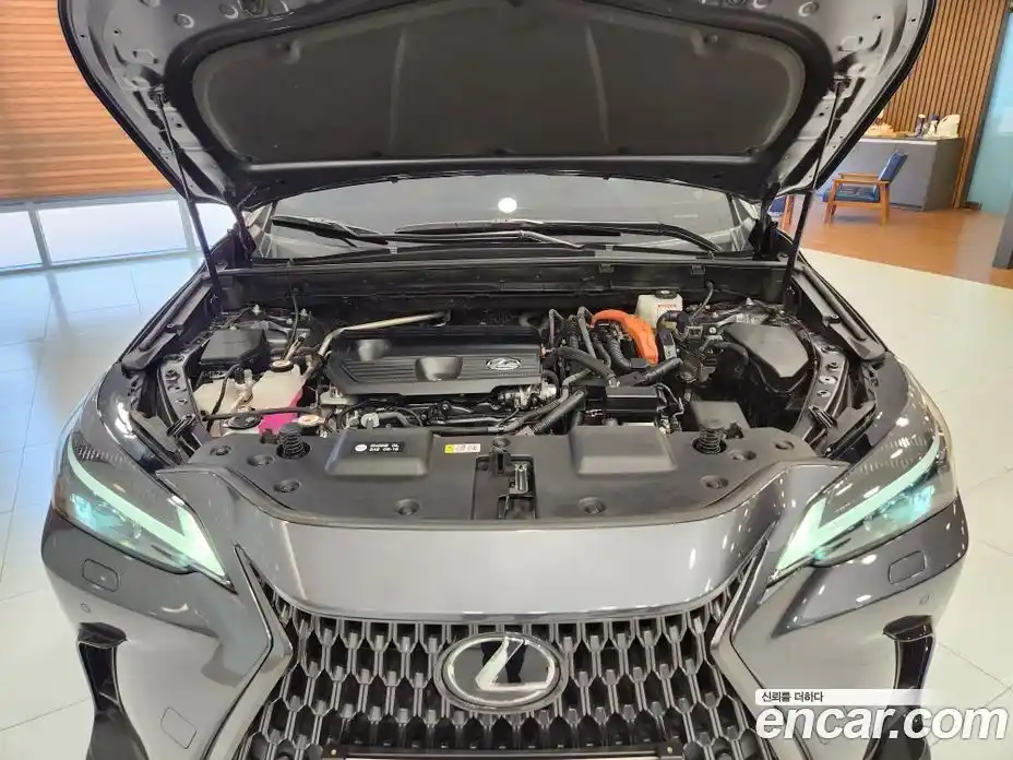 Lexus NX 2023 2.5 Вариатор в Москве № 382403, фото 13