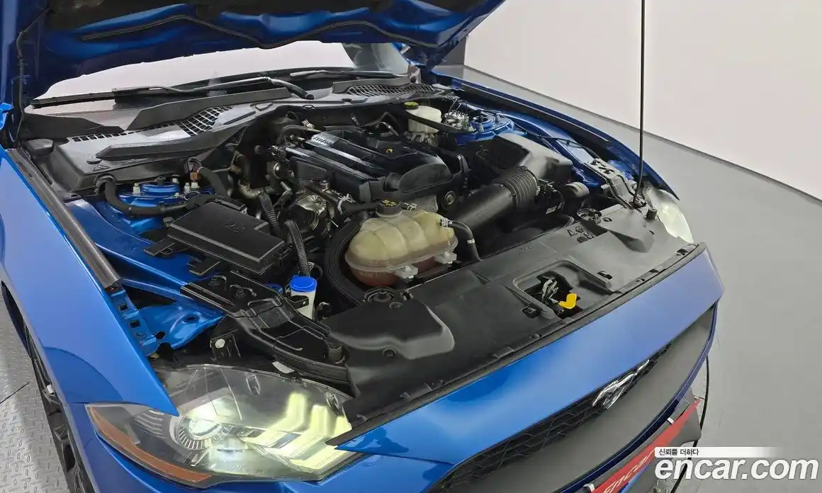 Ford Mustang 2020 2.3 Автомат в Москве № 199853, фото 4