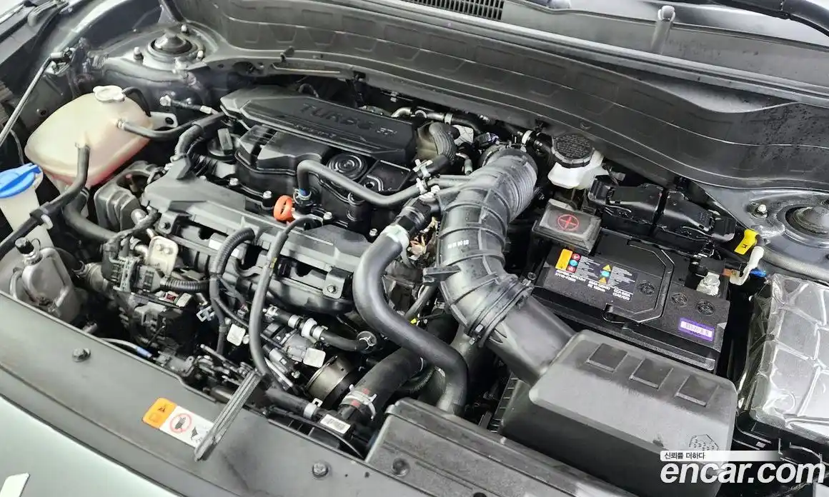 Kia Seltos 2024 1.6 Автомат в Москве № 12487, фото 9