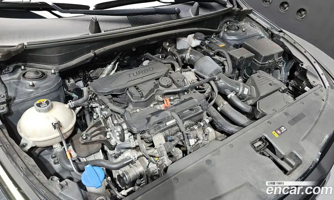 Kia Sportage 2022 1.6 Автомат в Москве № 18794, фото 19