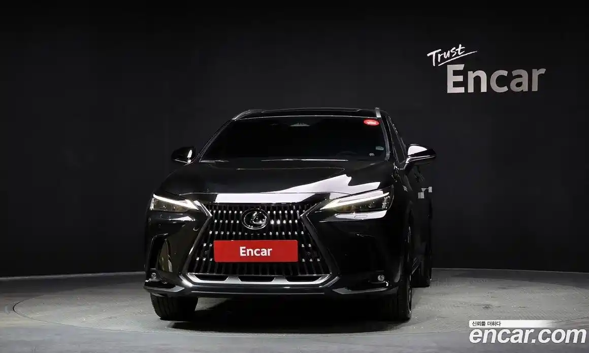 Lexus NX 2025 2.5 Автомат в Москве № 167985, фото 17