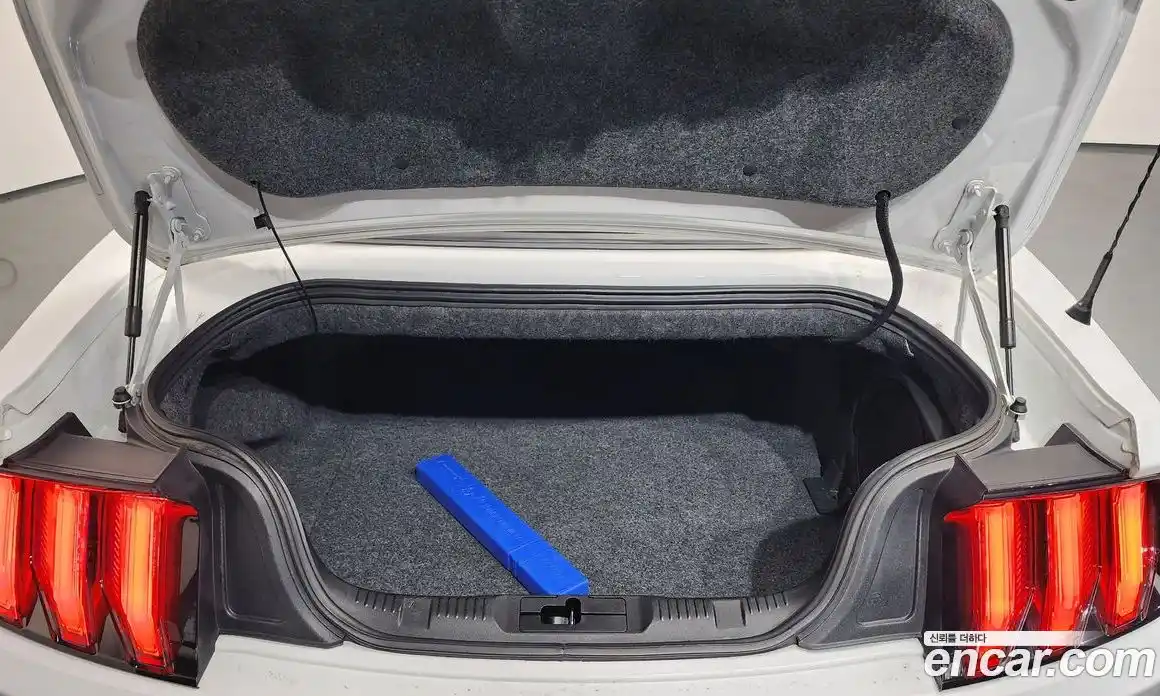 Ford Mustang 2019 2.3 Автомат в Москве № 255641, фото 17