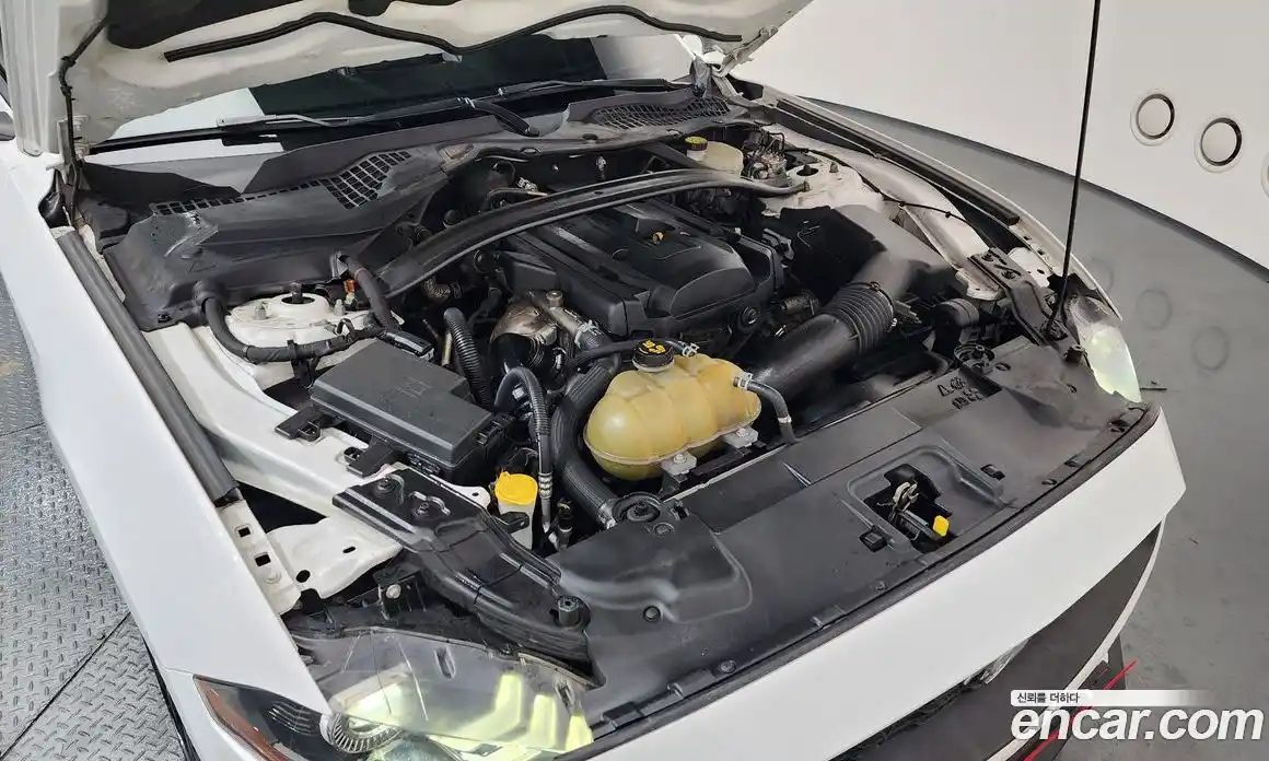 Ford Mustang 2019 2.3 Автомат в Москве № 255641, фото 10