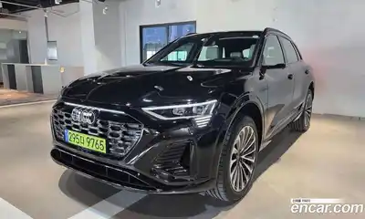 Audi Q8 e-tron, 2024