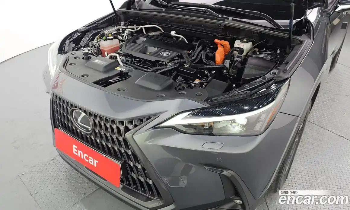 Lexus NX 2022 2.5 Автомат в Москве № 198817, фото 6