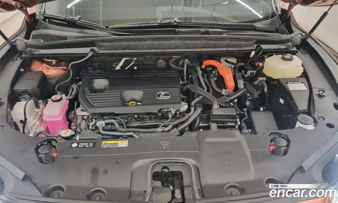 Lexus RX 2025 2.5 Вариатор в Москве № 398733, фото 6