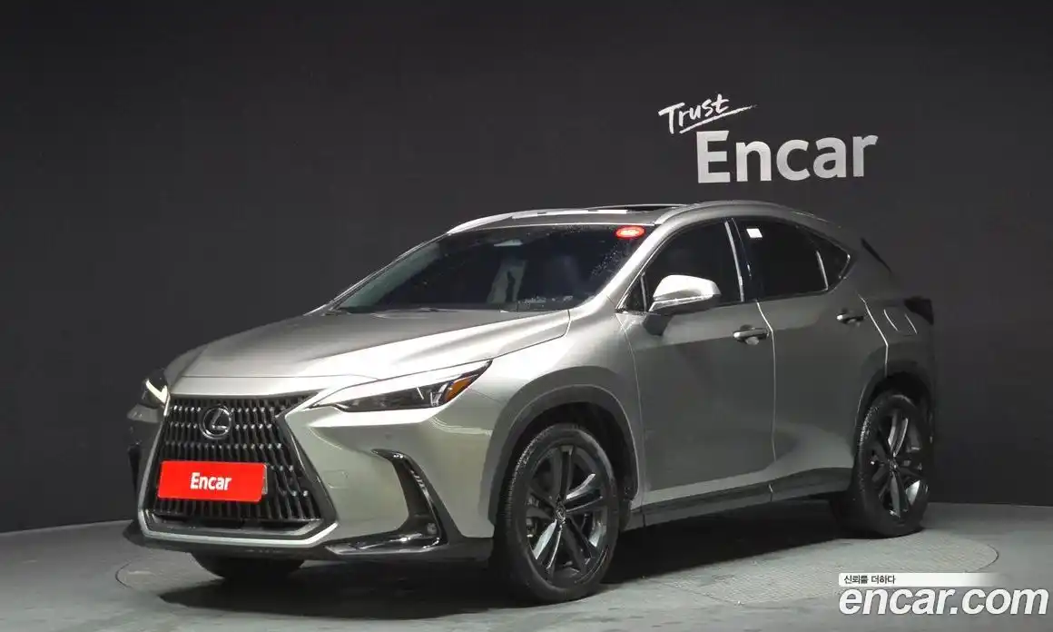 Lexus NX 2023 2.5 Автомат в Москве № 168152, фото 1