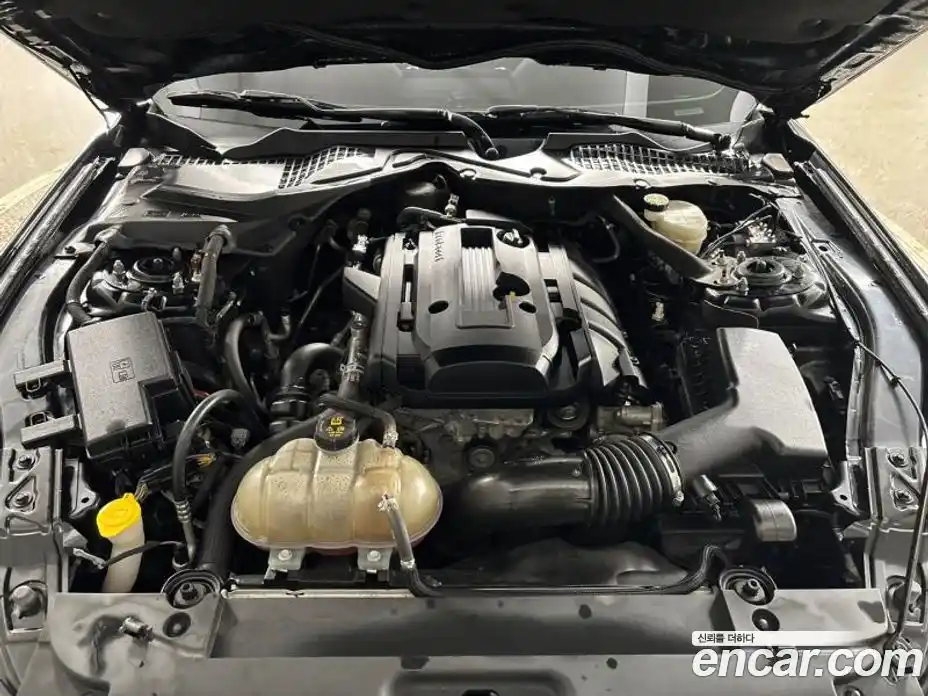 Ford Mustang 2017 2.3 Автомат в Москве № 233299, фото 19