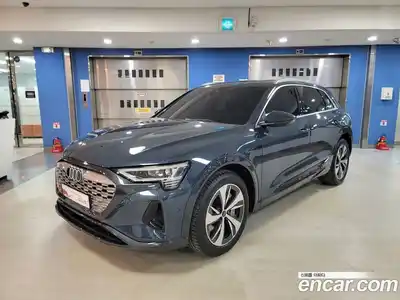 Audi Q8 e-tron, 2024