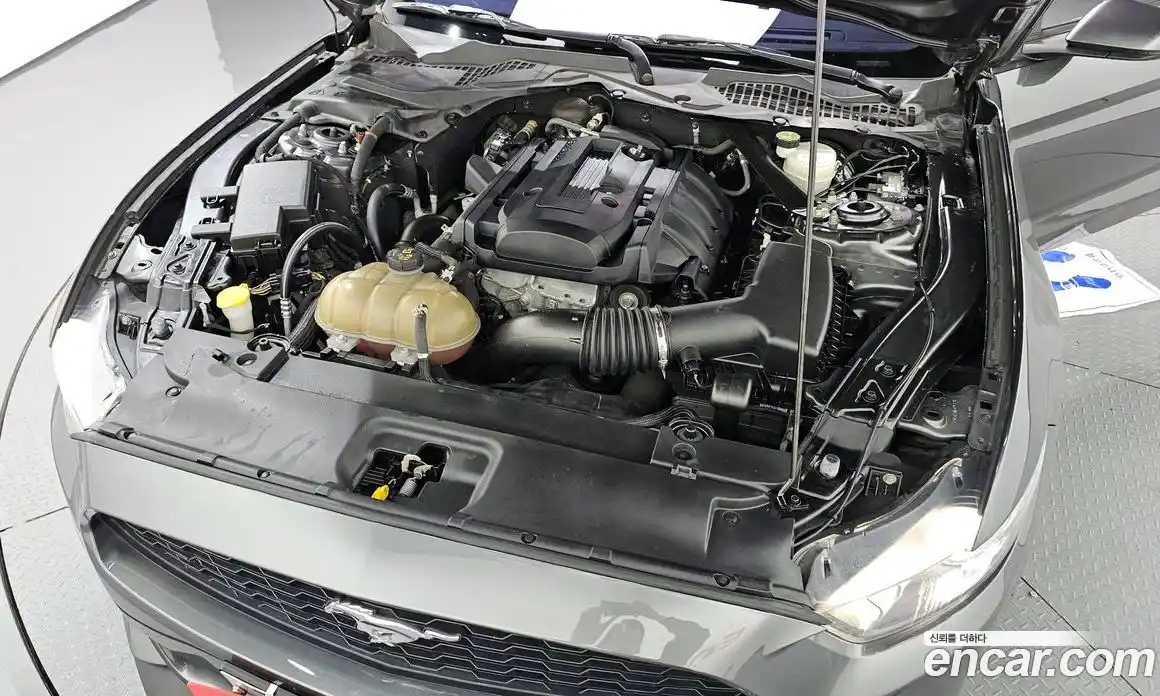 Ford Mustang 2016 2.3 Автомат в Москве № 245689, фото 6