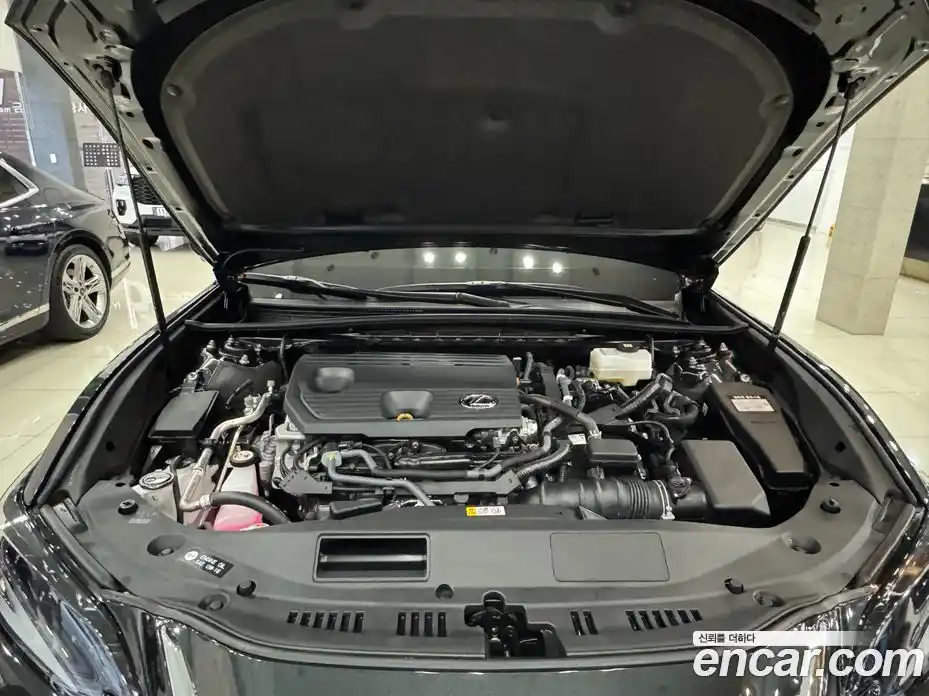 Lexus ES 2025 2.5 Автомат в Москве № 254102, фото 6