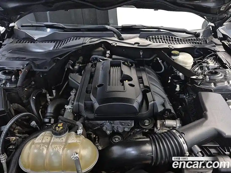 Ford Mustang 2017 2.3 Автомат в Москве № 255056, фото 16