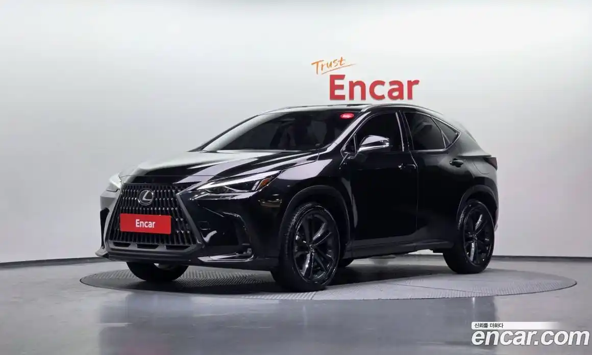 Lexus NX 2024 2.5 Автомат в Москве № 198762, фото 17