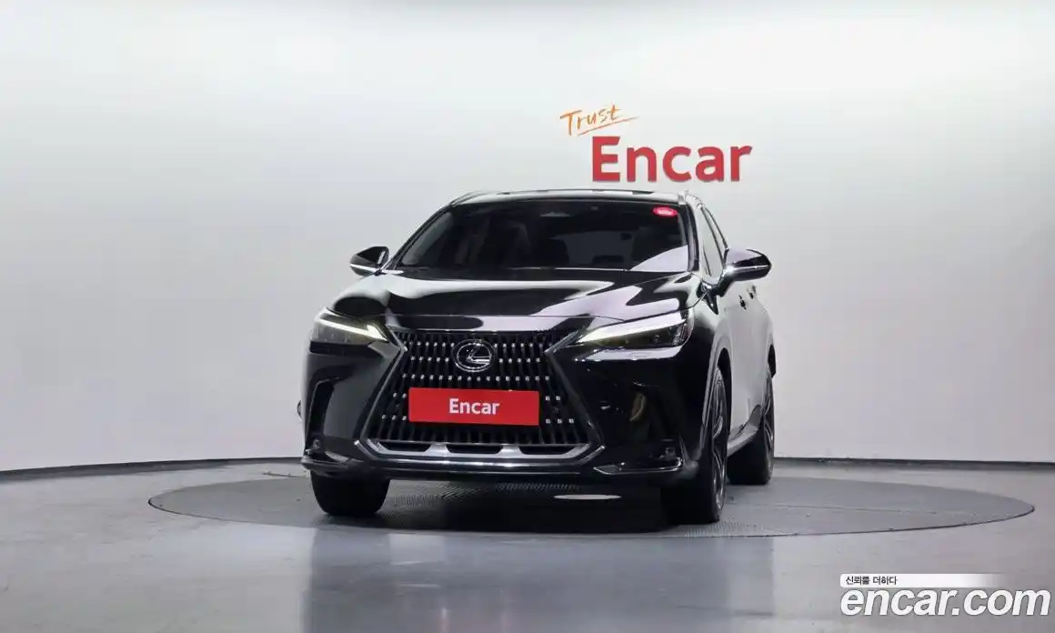 Lexus NX 2024 2.5 Автомат в Москве № 198762, фото 18